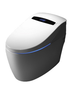 Wc Japonais Platinium 2 Plus