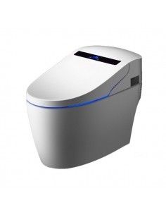 TopToilet Luxe Platinium 2