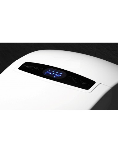 Wc Japonais Platinium 2