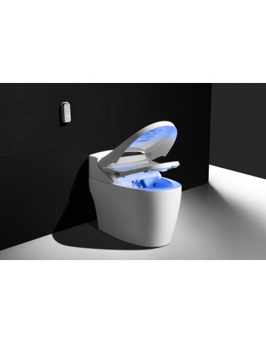 Wc Japonais Platinium 2